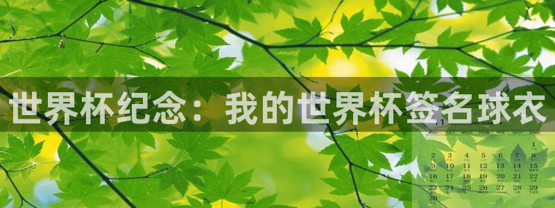2026世界杯亚洲预选赛：世界杯纪念：我的世界杯签名球衣