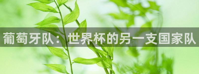 世界杯直播高清：葡萄牙队：世界杯的另一支国家队