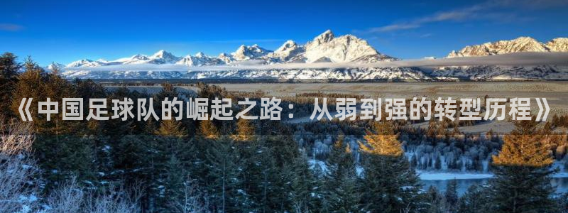 世界杯系列赛：《中国足球队的崛起之路：从弱到强的转型历程》