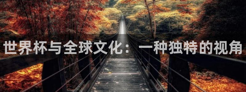 世界杯预选赛赛程表：世界杯与全球文化：一种独特的视角