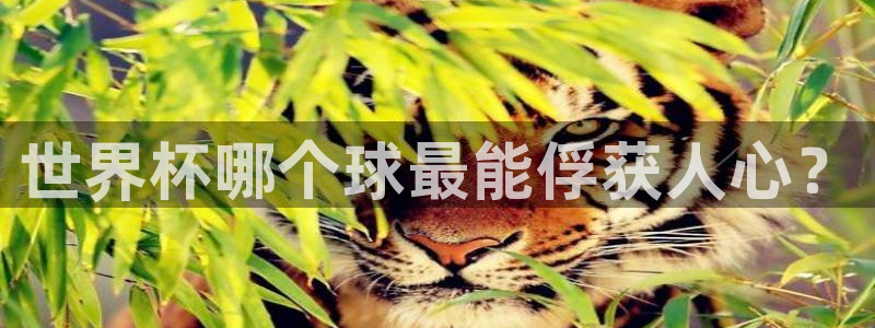 世界杯2026预选赛：世界杯哪个球最能俘获人心？