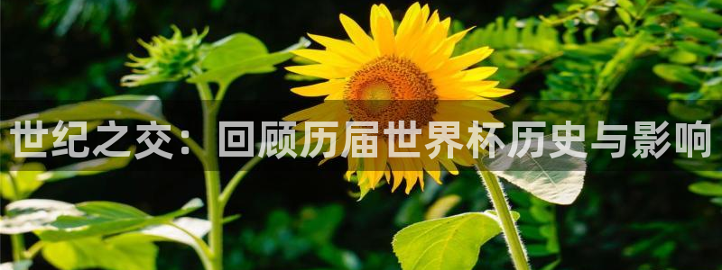 英格兰联赛杯直播：世纪之交：回顾历届世界杯历史与影响