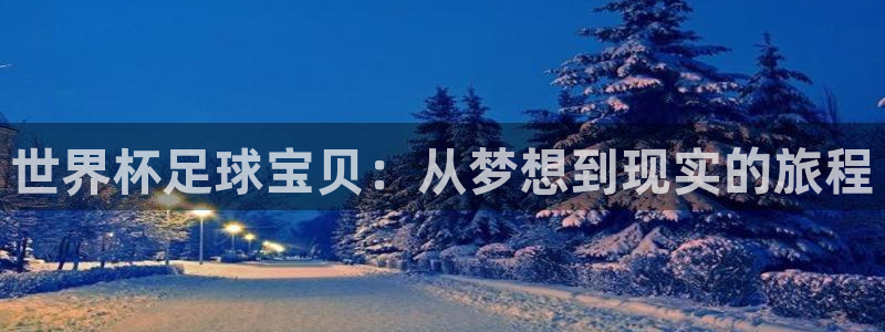 世界杯足球2026：世界杯足球宝贝：从梦想到现实的旅程