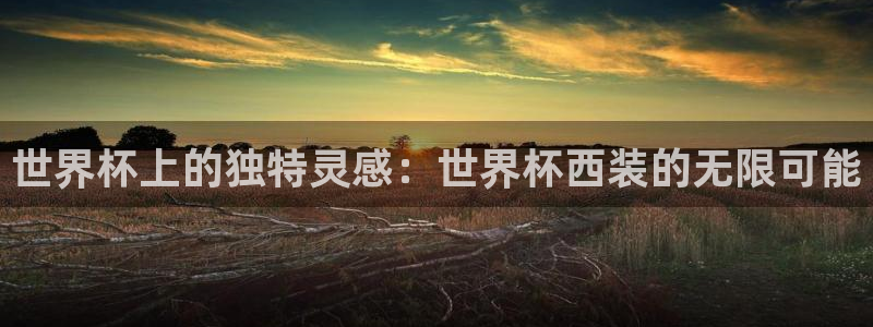 足球世界杯预选赛：世界杯上的独特灵感：世界杯西装的无限可能