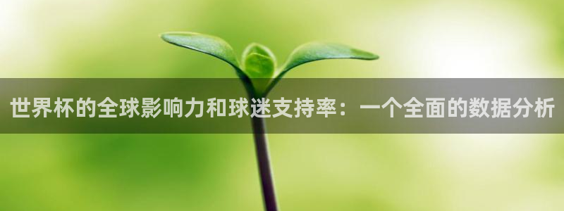 2026世界杯南美区积分榜：世界杯的全球影响力和球迷支持率：一个全面的数据分析