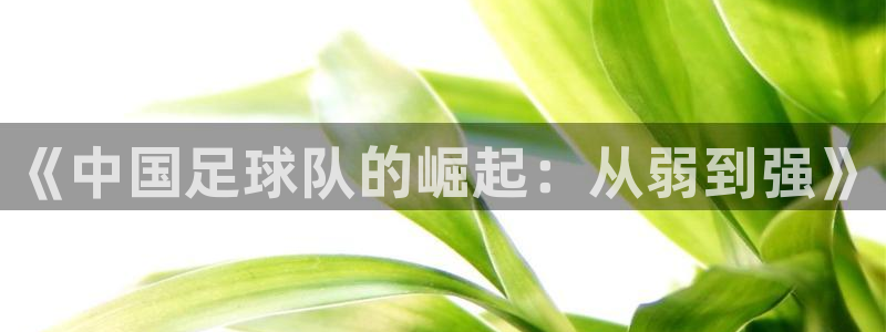 欧洲世界杯预选赛赛程：《中国足球队的崛起：从弱到强》