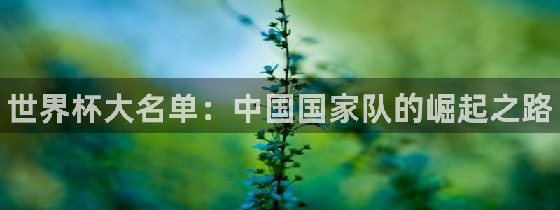 26世界杯：世界杯大名单：中国国家队的崛起之路