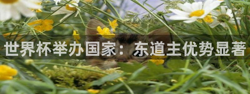 今年世界杯：世界杯举办国家：东道主优势显著