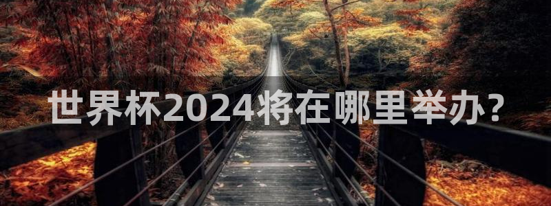 世界杯足球赛2026赛程时间：世界杯2024将在哪里举办?