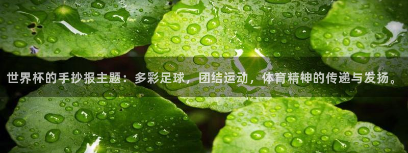 世界杯 中国：世界杯的手抄报主题：多彩足球，团结运动，体育精神的传递与发扬。