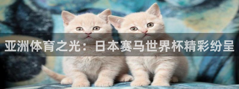 2026世界杯倒计时：亚洲体育之光：日本赛马世界杯精彩纷呈